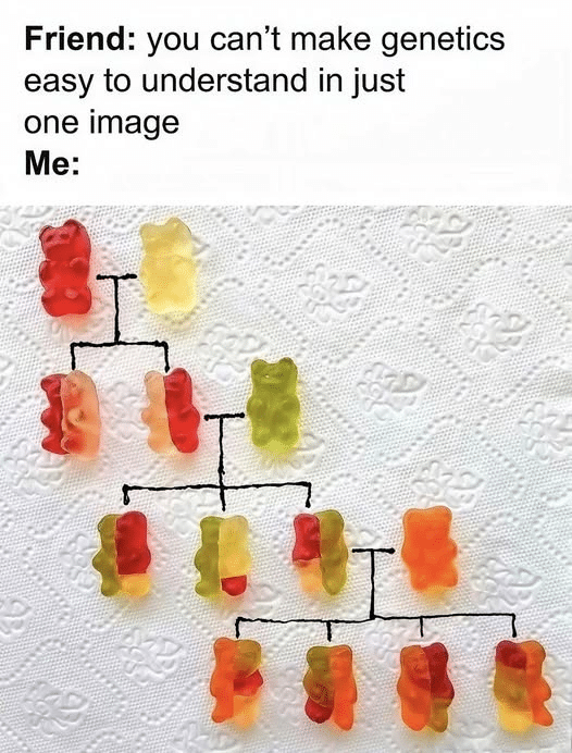 30 Cool And Interesting Guides That Teach You More In Images Than Any Parenting Book Can 1 image 41