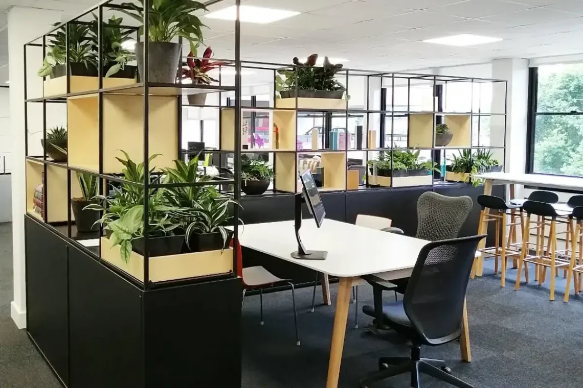 11 Incredible Indoor Office Plants That Improve Air Qaulity and Boost Your Focus