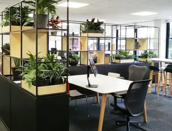 11 Incredible Indoor Office Plants That Improve Air Qaulity and Boost Your Focus