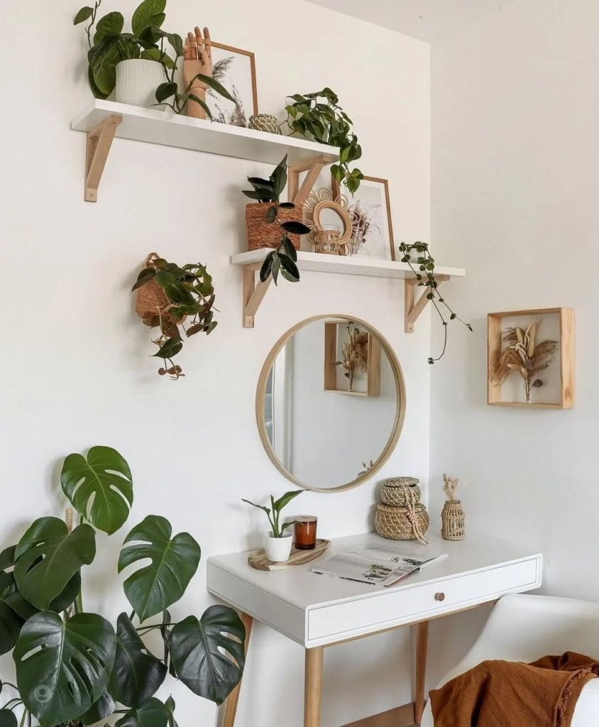 snapinsta ai 2932246354270366858