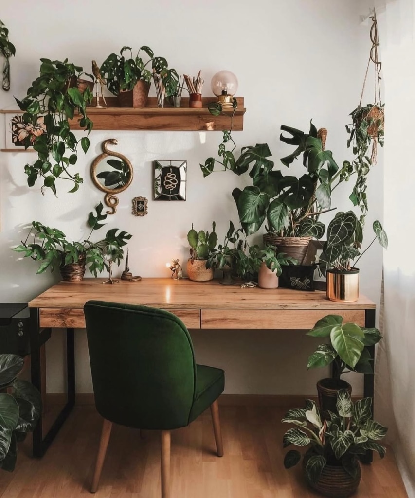 snapinsta ai 3380238496361614732