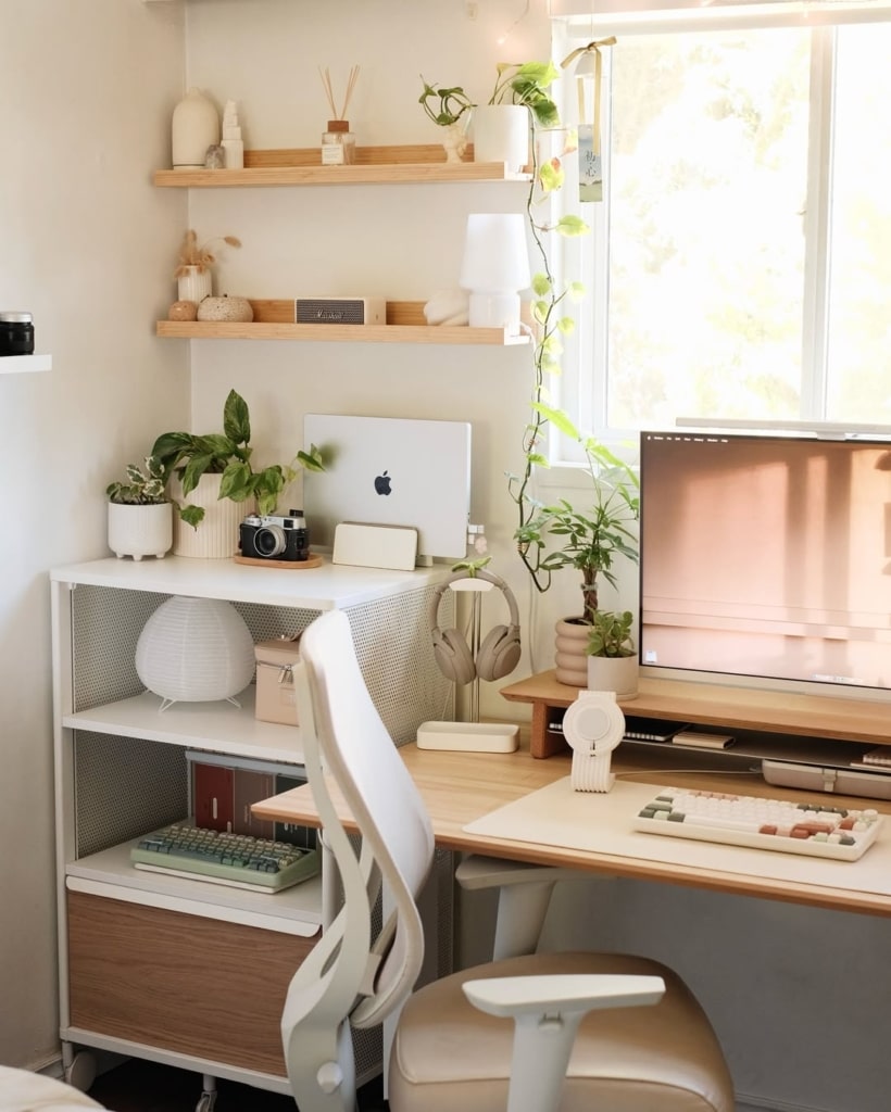 snapinsta ai 3709969659669333519