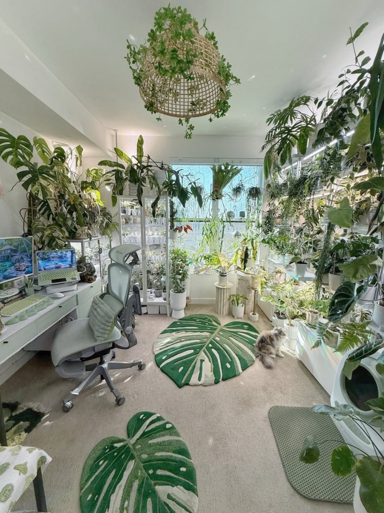 snapinsta ai 3712253101010513520