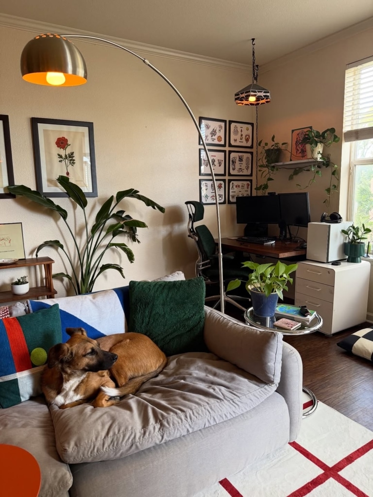 21 Office Guest Room Combo Layout Ideas 11 snapinsta ai 3736916566232600856