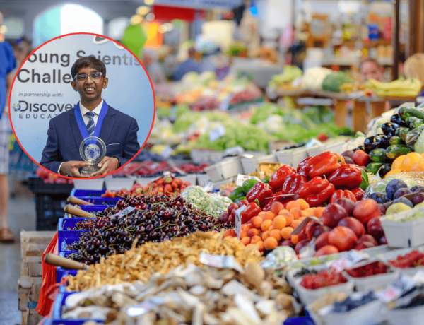 untitled design 2025 11 11t225331472 1