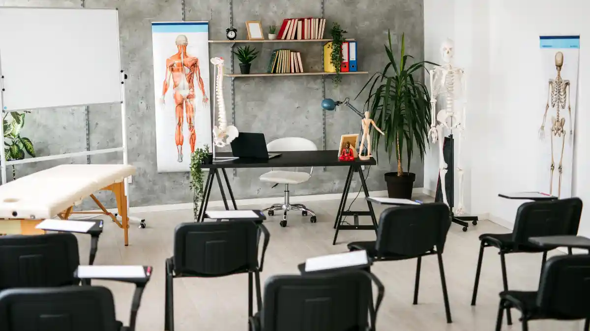 16 Budget-Friendly therapy office decor ideas for Private Practice 15 Functional & Educational Anatomical Displays