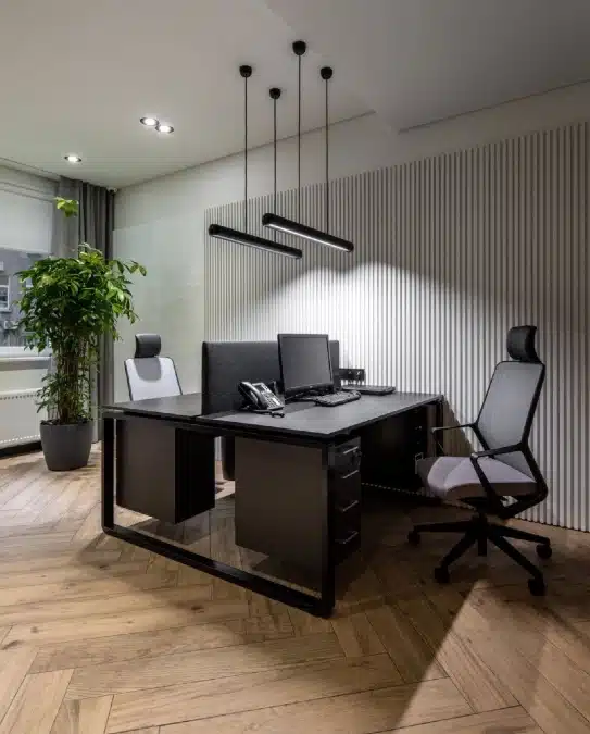 16 Elegant Black and White Office Decor Ideas That Look Expensive 9 image 24